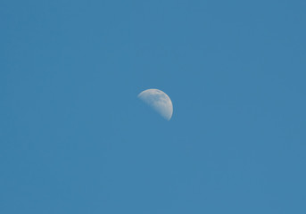 Lune