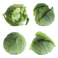 Fototapeta premium Set of fresh ripe cabbages on white background