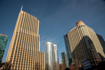 Fototapeta na wymiar Skyscrapers along the river in Chicago