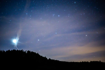 Venus geht am violett, lila, blauen Nachthimmel unter. Venus leuchtet über Bäume hinweg.