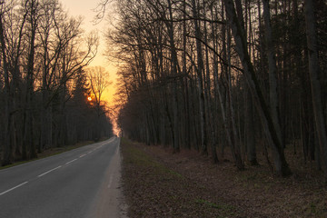 the long country road goes