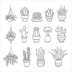 Succulents and cactus doodle collection