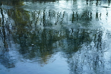 Spring season besides a beautiful natural looking river