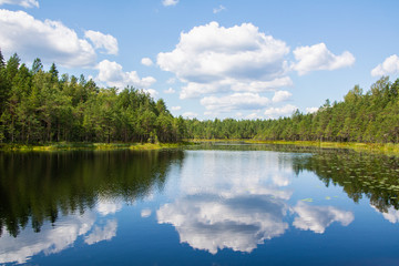 View of a lake in Nuuksio National Park in summer, Espoo, Finland