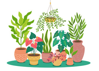 Colorful plants in pot background