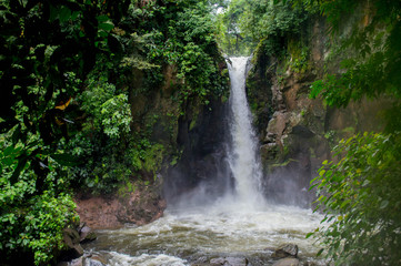 Hidden waterfall in the jungles of Costa Rica. "Waterfall las Golondrinas" in Guacimo, Costa Rica. "Catarata las Golondrinas" in Guacimo, Costa Rica. © Michael