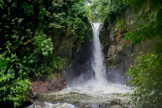Hidden waterfall in the jungles of Costa Rica. "Waterfall las Golondrinas" in Guacimo, Costa Rica. "Catarata las Golondrinas" in Guacimo, Costa Rica.