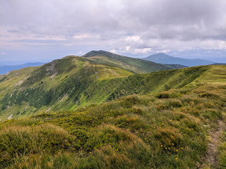 Nature of the Carpathian Mountains