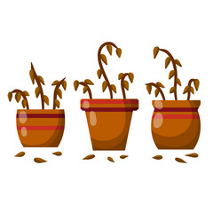 Dead houseplant. Dry leaves. Set of plants in pot. Forgotten bush. Element of room. Brown trunk. Cartoon flat illustration