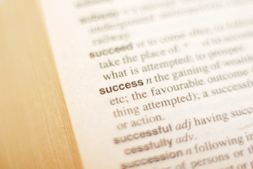 The definition of the word Success in the dictionary