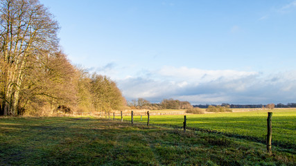 Fototapeta premium landscape with green field and blue sky