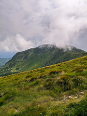 Obraz na płótnie Canvas Nature of the Carpathian Mountains