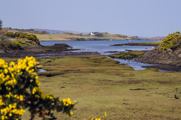 Scotish landscape with a little house