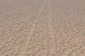 Car tire tracks on the beach sand 