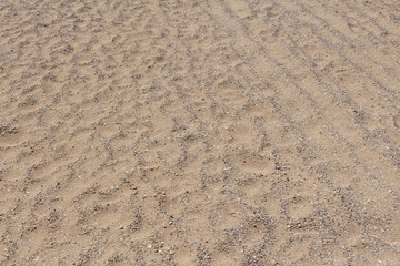 Car tire tracks on the beach sand 