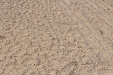Car tire tracks on the beach sand 