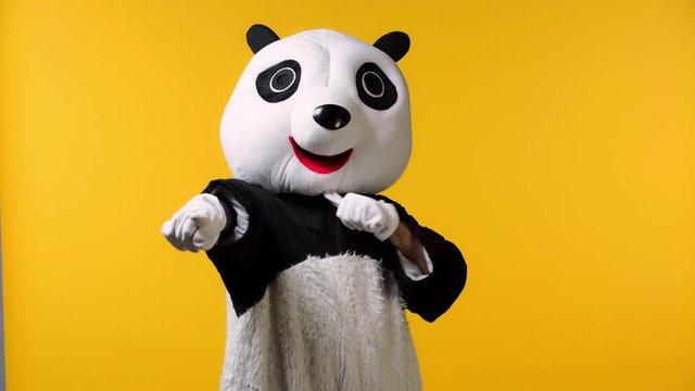 person in panda bear costume threatening isolated on yellow