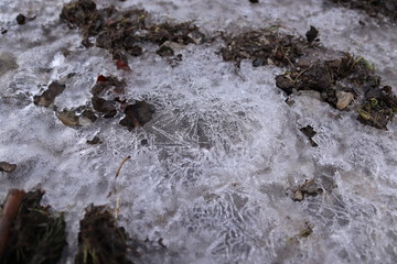 Ice flakes