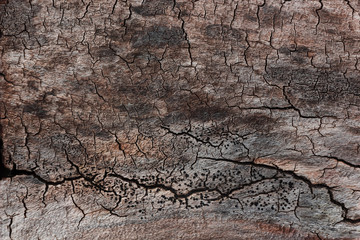 texture of old dry wood with cracks in the shape of a lightning
