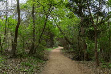 Dirt Walking Path Through a Dense Vegetation Park With Cloudy Day