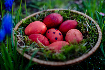 Ostereier+Corona+Bemalung+Körbchen