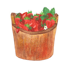 Red strawberry in bucket