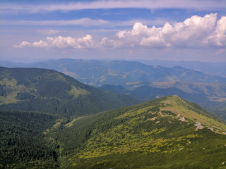 Fototapeta premium Nature of the Carpathian Mountains