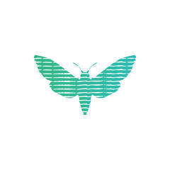  vector style butterfly line. unique vector of butterfly lines