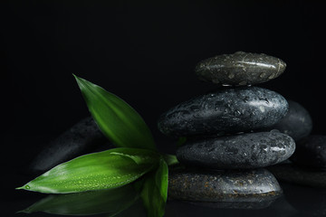 Stones and bamboo sprout in water on black background. Zen lifestyle