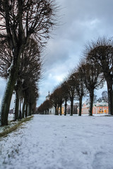 Tree alley along Manor Palace in Kuskovo in winter, Moscow, Russia. Travel around Russia in winter season, blur and grain effect.