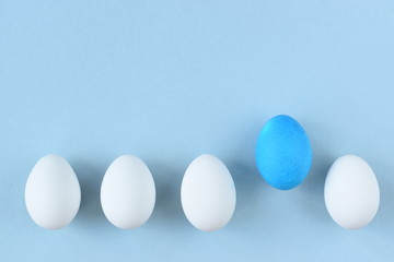 Chicken eggs. A row of chicken eggs. Blue egg.Style minimalism