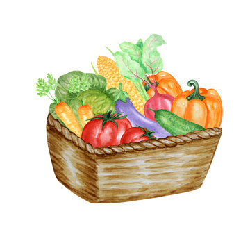 Vegetable Basket | www.iKolam.com-saigonsouth.com.vn