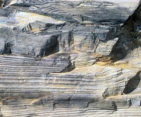 Detail of striated layers in petrified wood