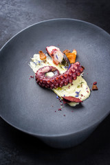 Traditioneller italienischer  gegrillter Oktopus polpo alla griglia Kartoffel Püree Creme und Gemüse Chips als closeup auf einem Modern Design Teller © HLPhoto