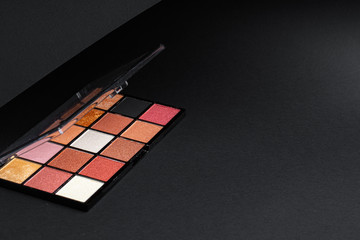 Color professional cosmetic palette on a dark background, close up