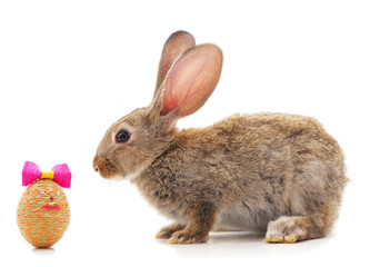 Rabbit with egg.