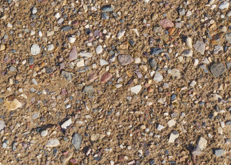 Close-up view of the wet fine sand with many small multicolored stones. Natural texture or background, copy space