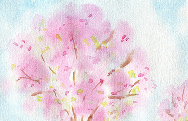 Abstract blurred watercolor background of spring white pink cherry flowers blossoms tree with blue sky. Hand painted Aquarelle paper textured canvas for design with copy cpace for text.
