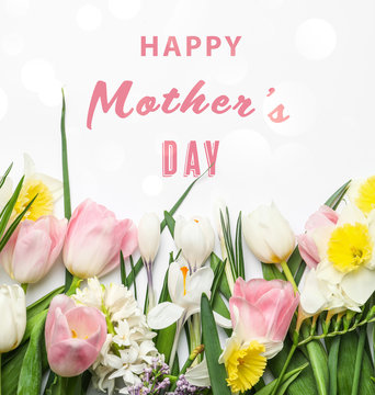 Flat lay composition with beautiful spring flowers and phrase HAPPY MOTHER'S DAY on white background