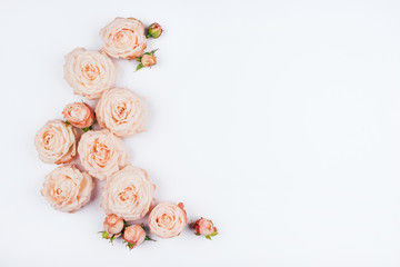 Spring background. Rose flowers on a white background. Flat lay. Copy space for your text.