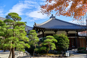 Fototapeta na wymiar Nice old building in Japanese style garden during autumn
