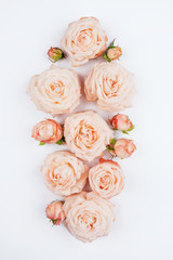 Spring background. Rose flowers on a white background. Flat lay.