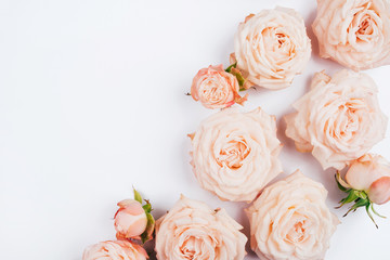 Spring background. Rose flowers on a white background. Flat lay. Copy space for your text.