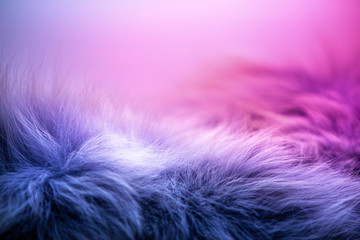 Furry fabric background, copy space colored background