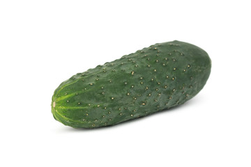 fresh natural single green ground cucumber