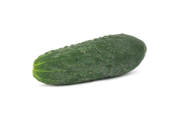 fresh natural single green ground cucumber