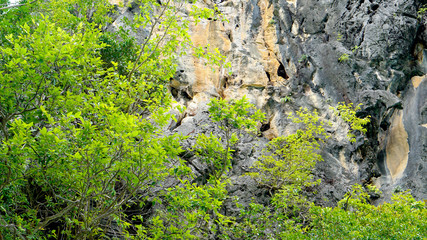 Rocks texture mountains travel nature