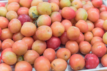 Heap of wild plum in aluminum tray display at local fruit market stand in Texas, USA