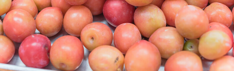 Panoramic view heap of wild plum in aluminum tray display at local fruit market stand in Texas, USA