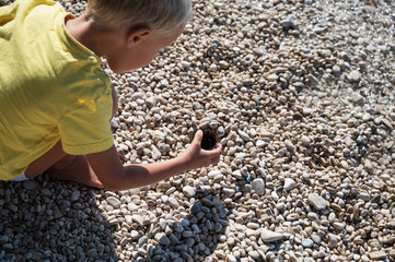 Little boy looking at a sea urchin he found
